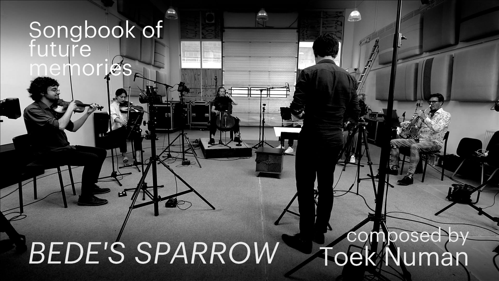 Bede's Sparrow  thumbnail