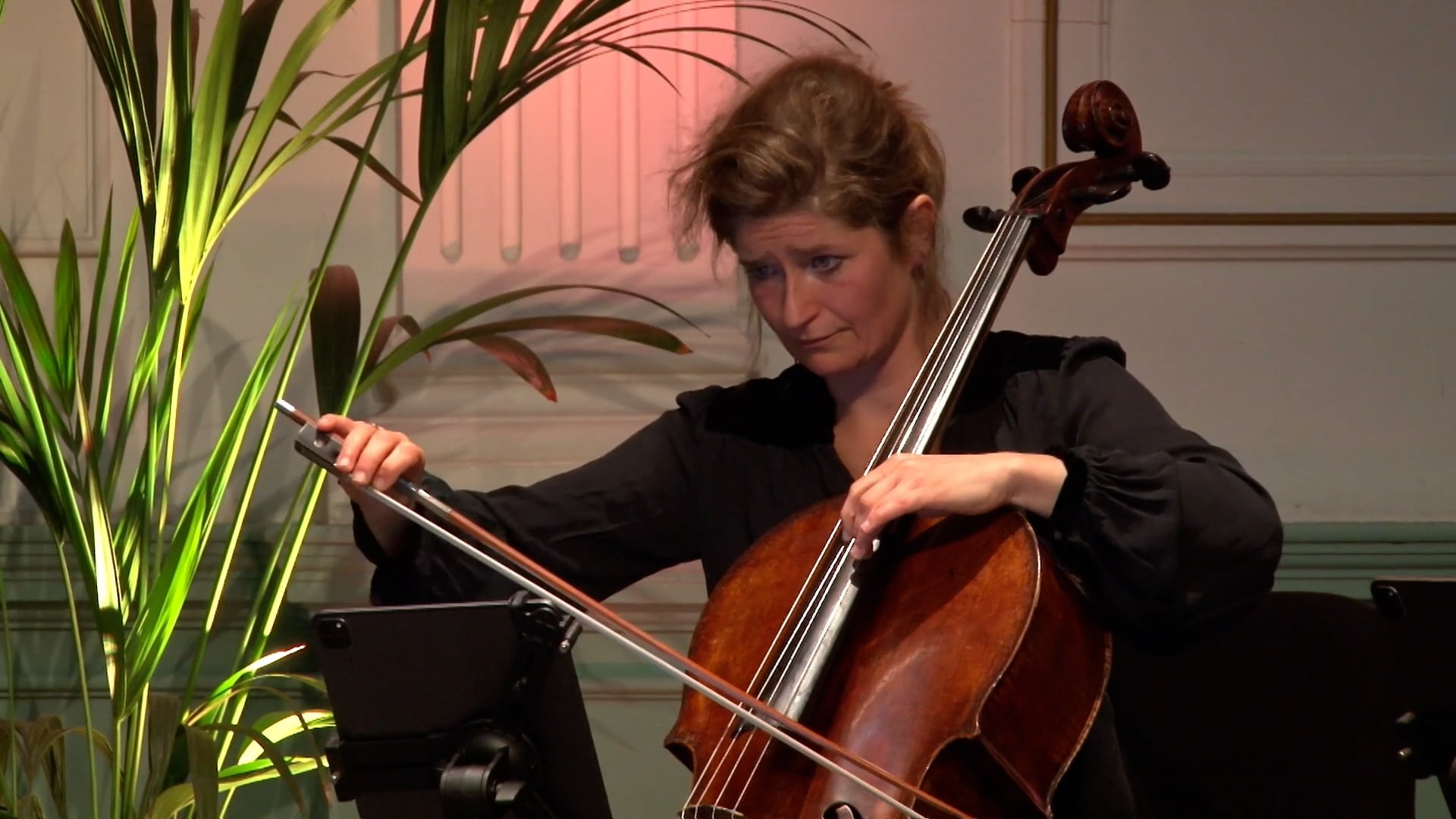 Afl 11 211114_November Music_Strijkoctet-x264 MP4 2Mbps 16x9 thumbnail