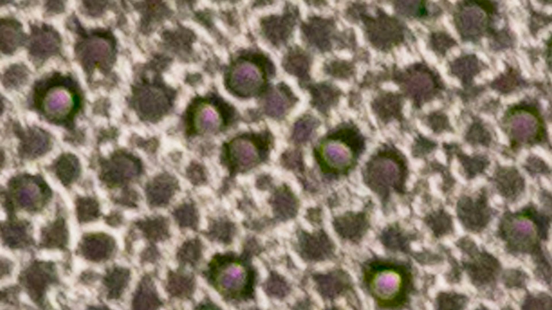 Spheres thumbnail