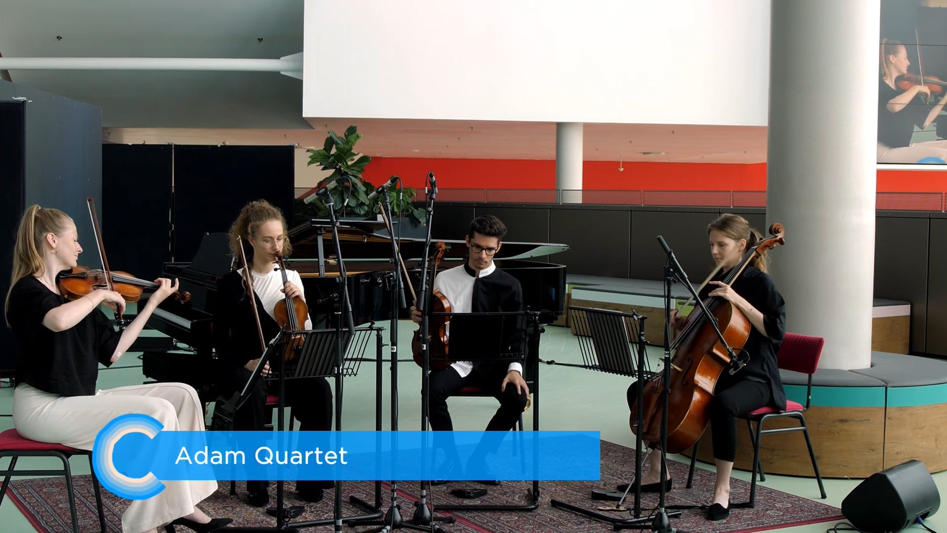 Adam Quartet thumbnail