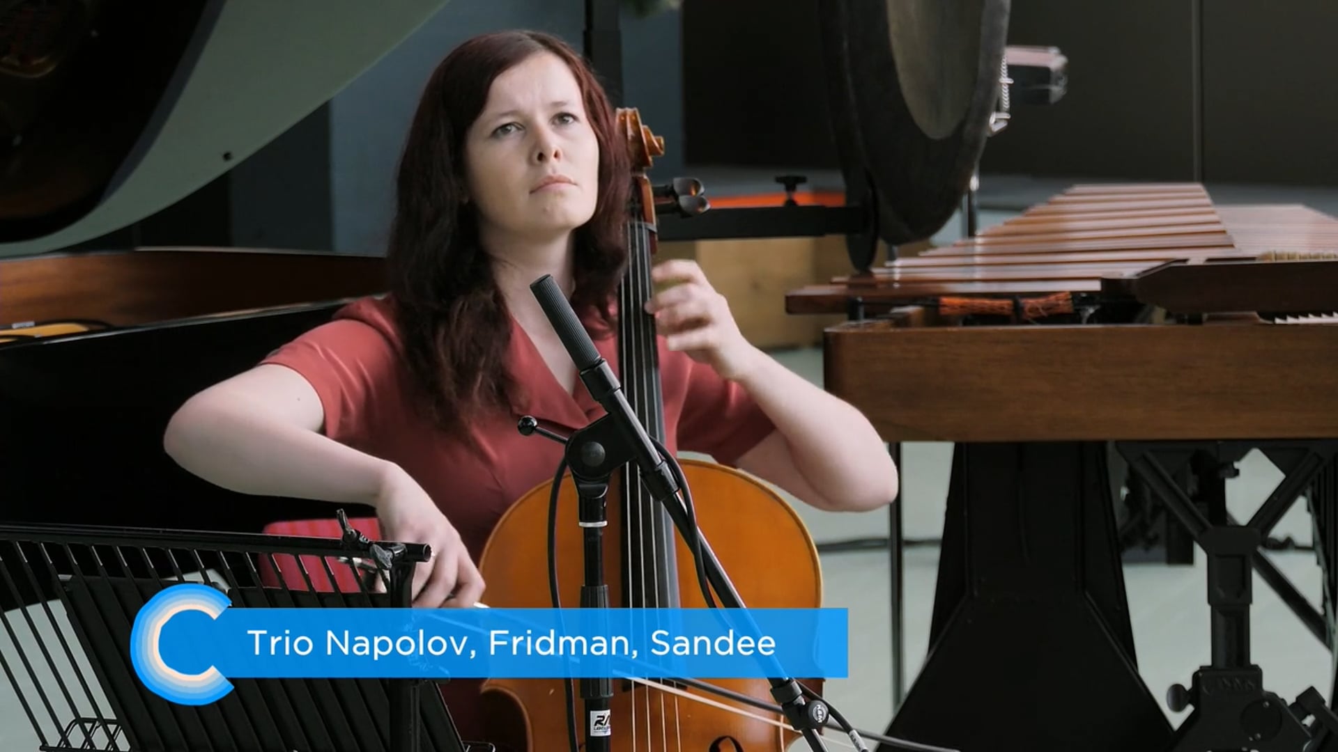 Calliope Tsoupaki & Trio Napolov thumbnail