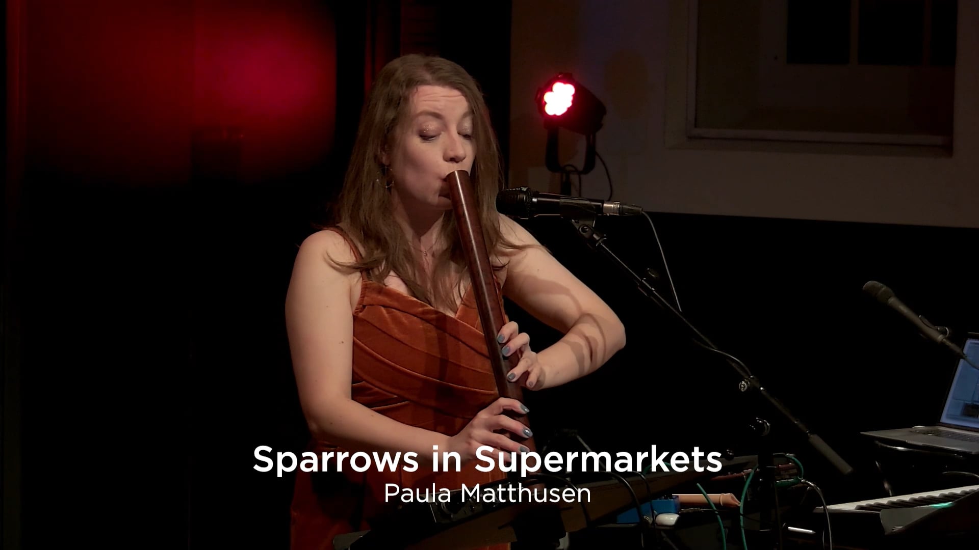 Vier keer nieuw_03_Sarah Jeffery_Sparrows in Supermarkets thumbnail