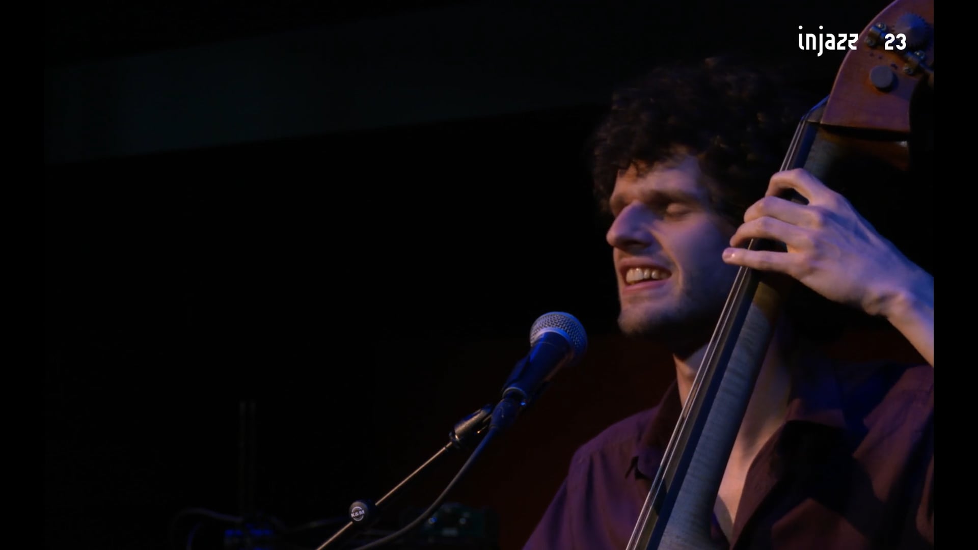 Peter Willems Trio thumbnail